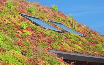Henstridge Marsh living roof systems